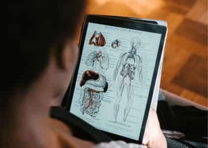 Checking the human anatomy on an iPad