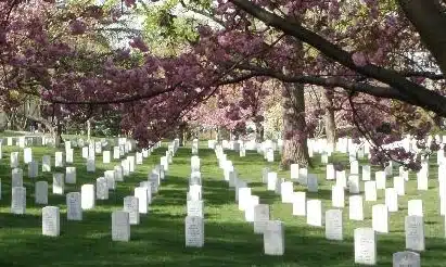 Cemetery with trees and graves.